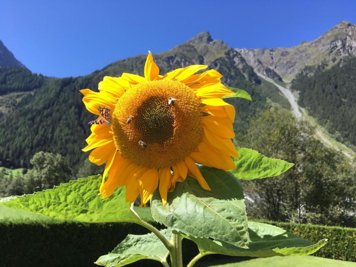 Hotel Haus Sonnwend Sölden Esterno foto